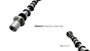Imagen de ARBOL DE LEVAS RENAULT MASTER 2.3 M9T